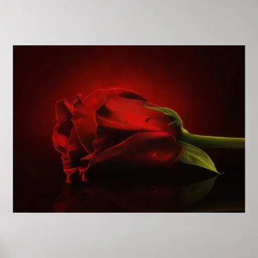 Poster sangriento gótico del rosa rojo | Zazzle Poster sangriento gótico del rosa rojo | Zazzle