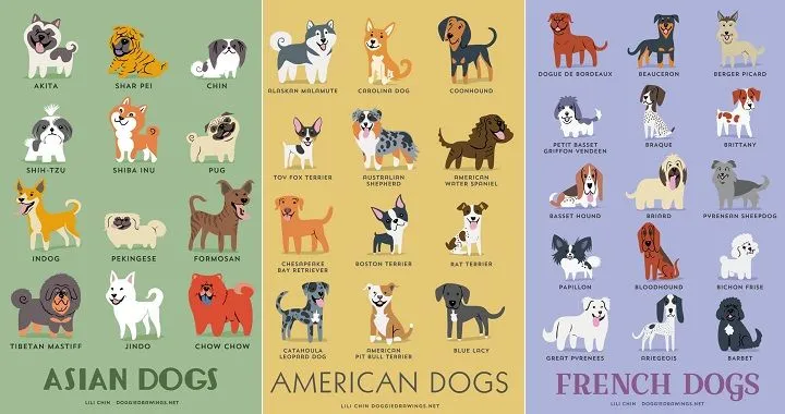 Pósters que muestran el origen de más de 200 razas de perros Pósters que muestran el origen de más de 200 razas de perros