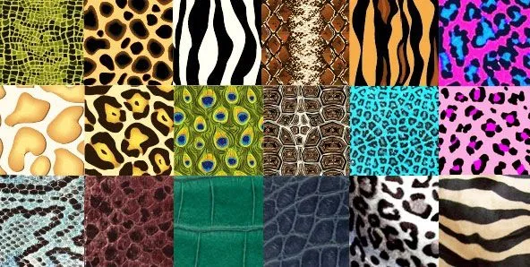 Animal print fucsia wallpaper - Imagui