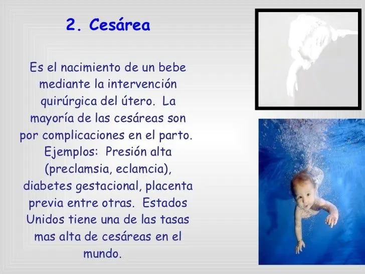 power-point-edu-173-desarrollo ...
