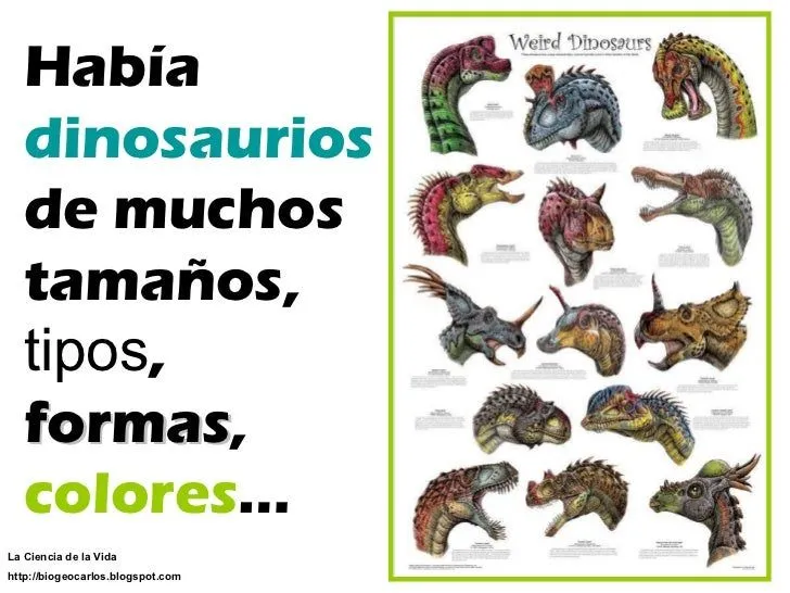 powerpoint-dinosaurios-60-728. ...