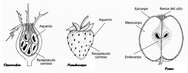 PRACTICA Nº 9