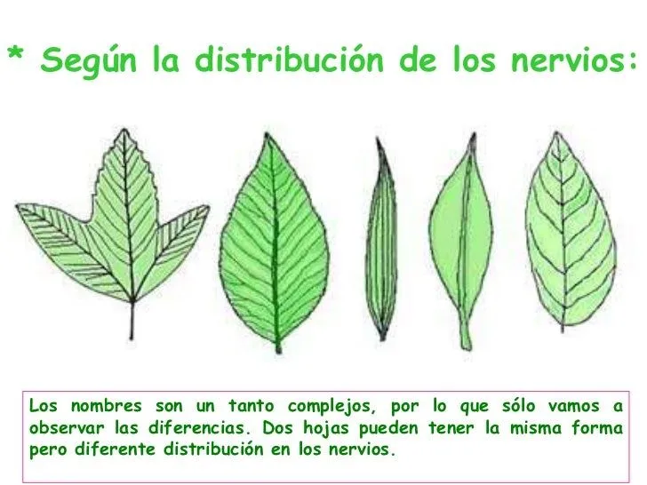 practica2-3-11-728.jpg?cb= ...