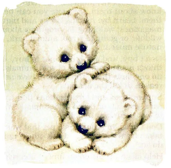 Oso bebé dibujo tierno - Imagui