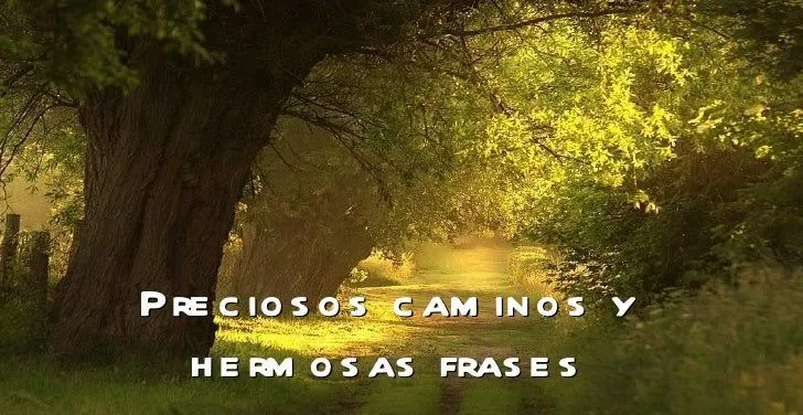 PRECIOSOS CAMINOS Y HERMOSAS FRASES