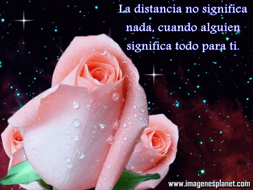 preciosos-gif-animados-de-amor ...