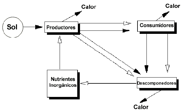Los Precursores de la ecología - Monografias.