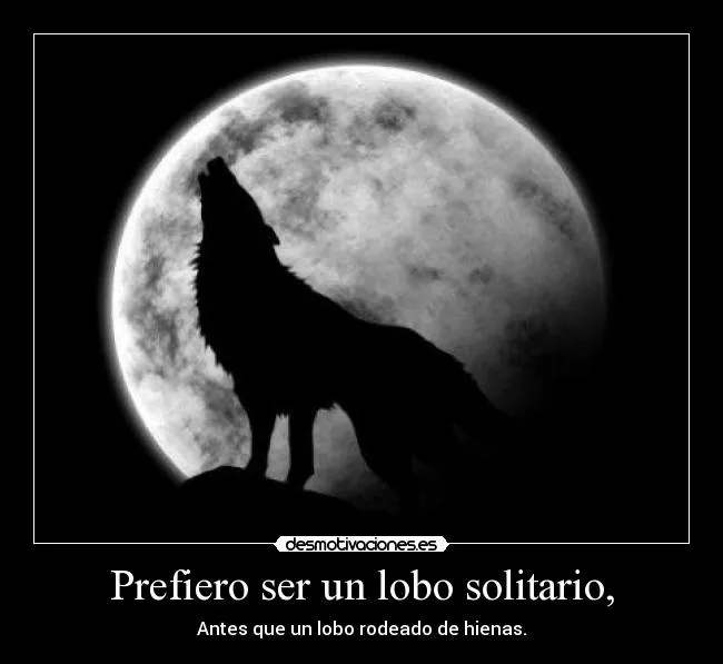 Prefiero ser un lobo solitario, | Desmotivaciones Prefiero ser un lobo solitario, | Desmotivaciones