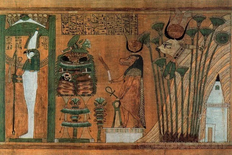 Pregunta sobre Papiro de Ani - Foro Egipto: Viajar e Historia de ... Pregunta sobre Papiro de Ani - Foro Egipto: Viajar e Historia de ...