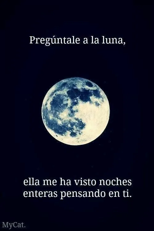 Pregúntale a la luna. #frases | Frases, Citas, Poemas y Letras ... Pregúntale a la luna. #frases | Frases, Citas, Poemas y Letras ...