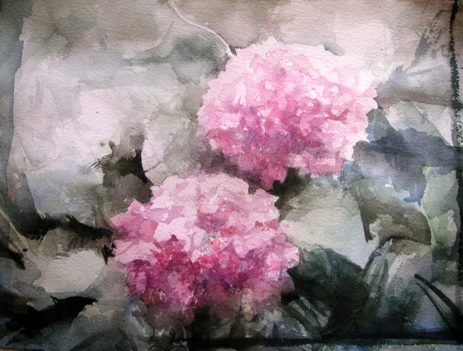 le preguntamos a ana el porque pintar flores aunque conocemos que no ... le preguntamos a ana el porque pintar flores aunque conocemos que no ...