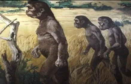 Preguntas y respuestas sobre la Prehistoria | Blogodisea