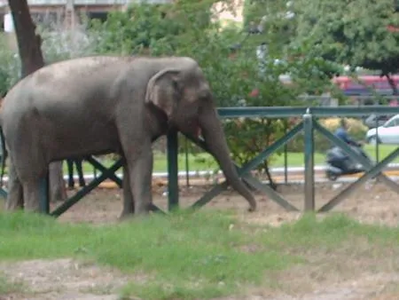 Preguntas al visitar un zoológico - Taringa! Preguntas al visitar un zoológico - Taringa!