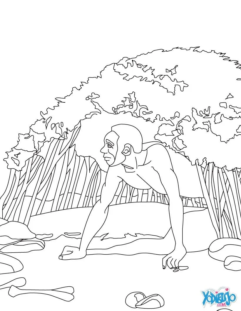 Dibujo De Homo Sapiens Enfadado Pintado Y Coloreado Por Franking ...