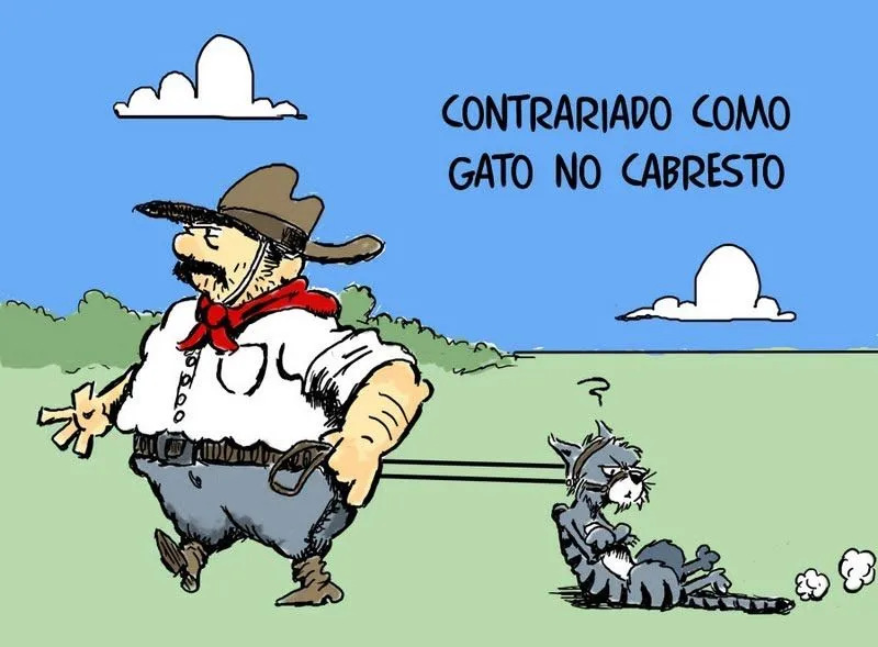 Prendas e Peões do RS 2011/12: Adágios Gaúchos - Contrariado Prendas e Peões do RS 2011/12: Adágios Gaúchos - Contrariado
