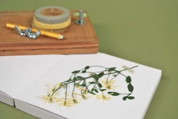 Prensa para flores secas paso a paso - Guía de MANUALIDADES Prensa para flores secas paso a paso - Guía de MANUALIDADES
