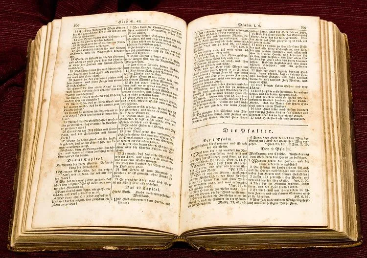 Prensa Libre Nagua: A propósito del Mes de la Biblia Prensa Libre Nagua: A propósito del Mes de la Biblia