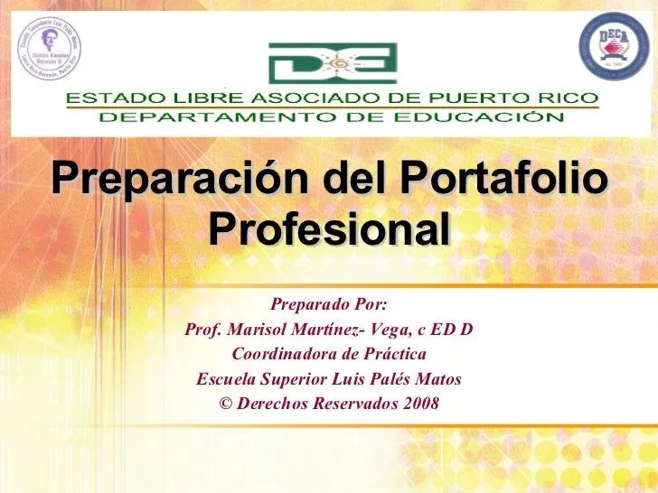 Preparacion Del Portafolio Profesional