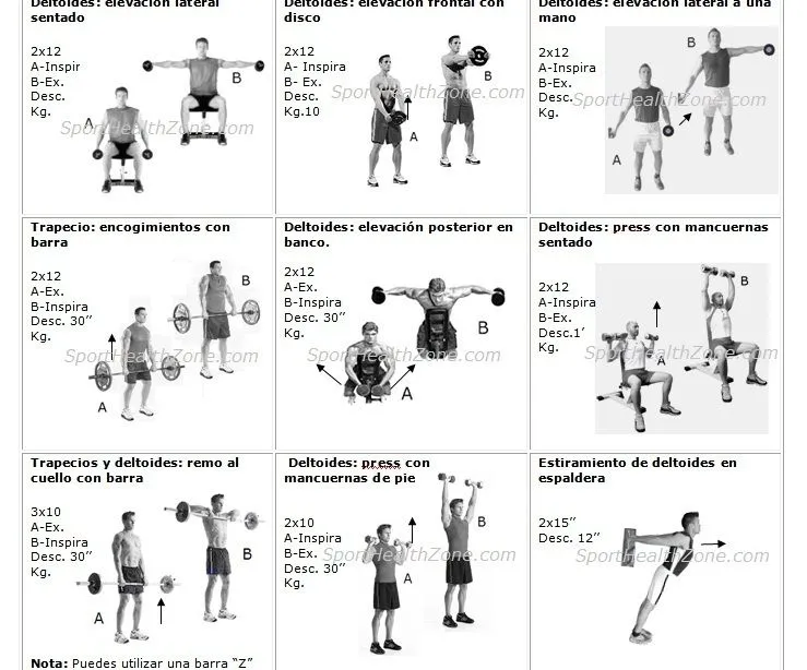Como preparar buenas Rutinas de Gimnasio