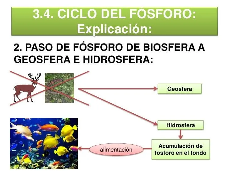 presentacin-clase-3-21-312-14- ...