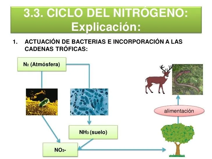 presentacin-clase-3-21-312-6- ...