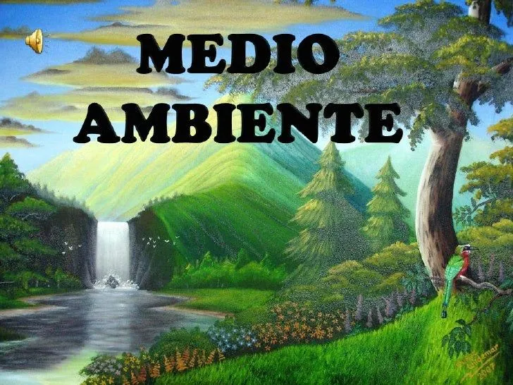 Presentacion del medio ambiente
