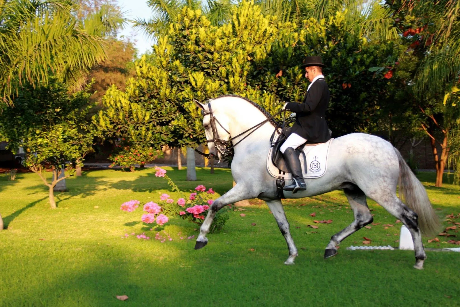 Presentación de los caballos de Rancho Betania - GOBCOL demo