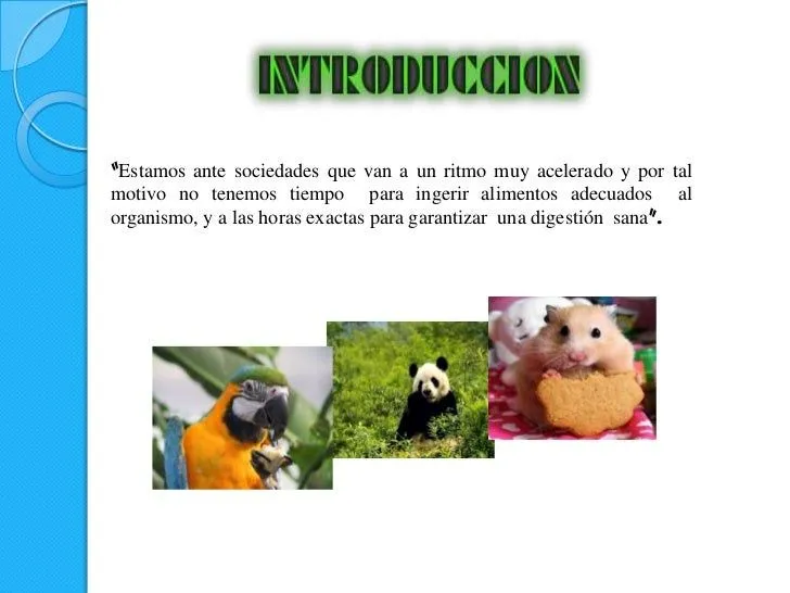 presentacion-de-power-point-la ...