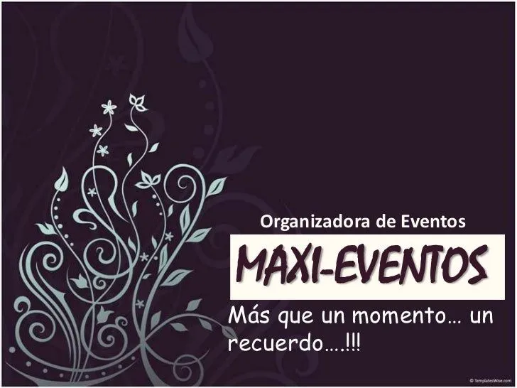 Presentacion Empresa Organizadora De Eventos