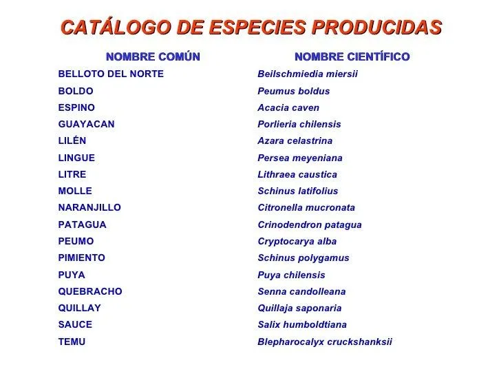 Presentacion laboratorio de micropropagacion para plantas y arboles n…