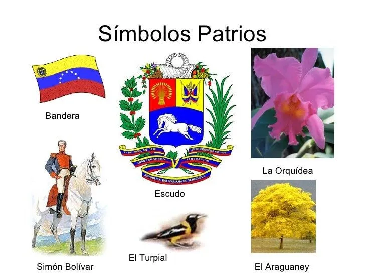 Identidad Nacional: Los Símbolos Patrios