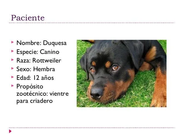 presentacionfinal-090530140350 ...