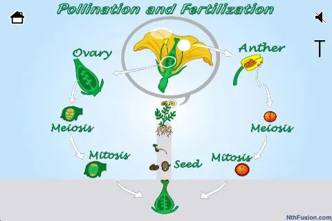 Presentation Name on emaze