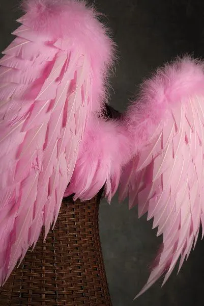 Te presto mis alas...