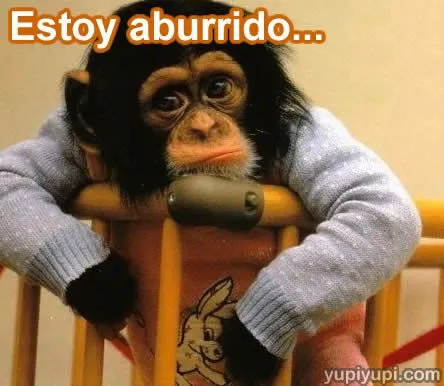 Frases con changuitos - Imagui