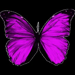 PrettyBlends 22: Alas De Mariposa png