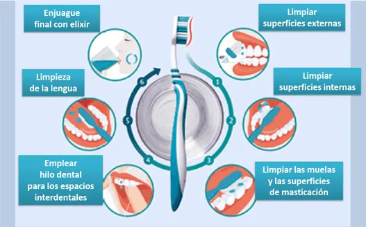 PREVENCION ORAL