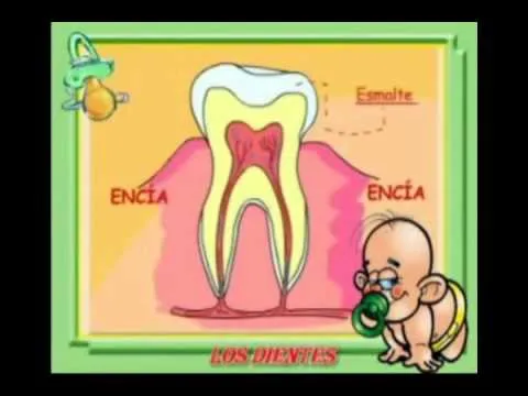 PREVENCION - SALUD BUCAL PARA NIÑOS PARTE 1 - ORIANA AGUDELO - YouTube PREVENCION - SALUD BUCAL PARA NIÑOS PARTE 1 - ORIANA AGUDELO - YouTube