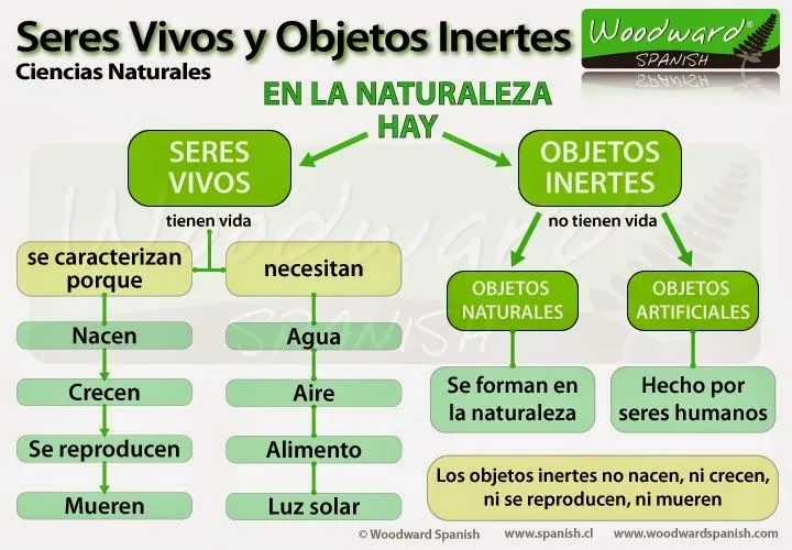 PRIMARIA 1º Y 2º STM: ♥ SERES VIVOS- OBJETOS INERTES♥ PRIMARIA 1º Y 2º STM: ♥ SERES VIVOS- OBJETOS INERTES♥