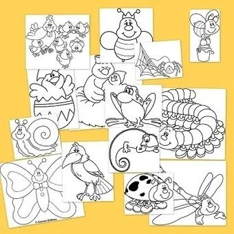 Primavera para colorear: Animales en primavera ... Primavera para colorear: Animales en primavera ...
