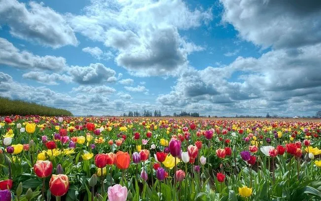 La primavera comenzará el jueves 20 de marzo a las 17.57 horas y ...