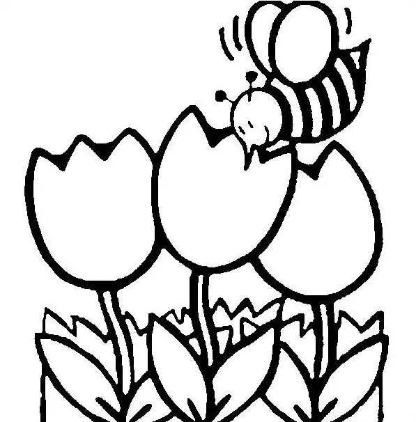 Láminas para Colorear - Coloring Pages: Preescolar y Jardin de ... Láminas para Colorear - Coloring Pages: Preescolar y Jardin de ...