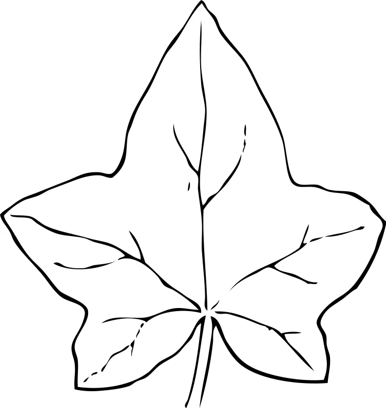 Dibujos de hojas secas - Imagui