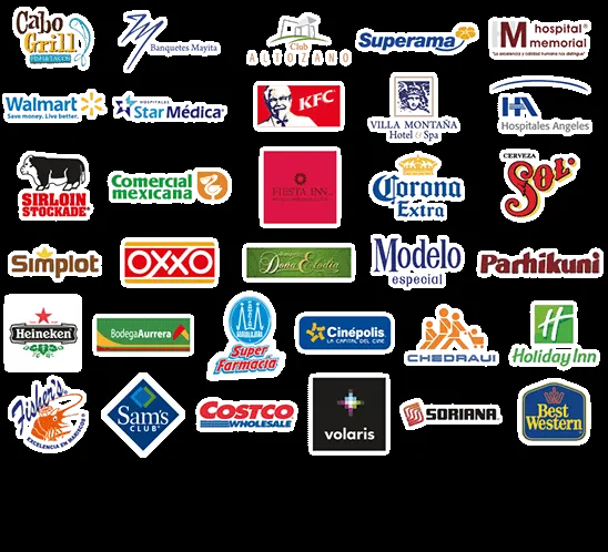 Principales Clientes