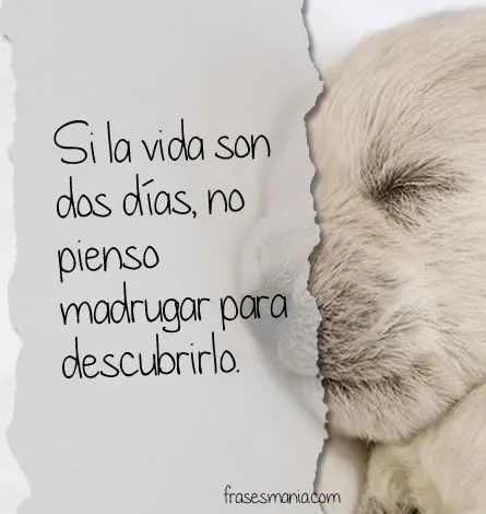 Principes azules que no son tal | Frases graciosas | Pinterest ... Principes azules que no son tal | Frases graciosas | Pinterest ...