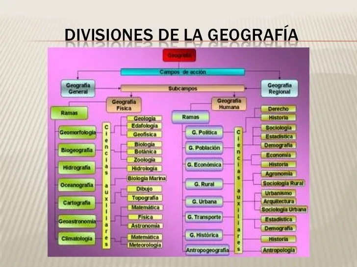 principios-basicos-de-la- ...