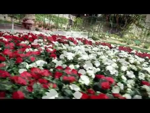 Pringle of Scotland | Princess Grace Exhibition Virtual Tour - YouTube Pringle of Scotland | Princess Grace Exhibition Virtual Tour - YouTube
