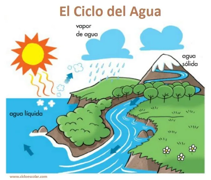 Print Map Quiz: Estados físicos del agua. (conocimiento del medio - estados  fisicos del agua)
