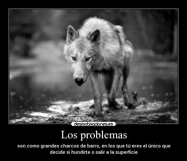 Los problemas | Desmotivaciones
