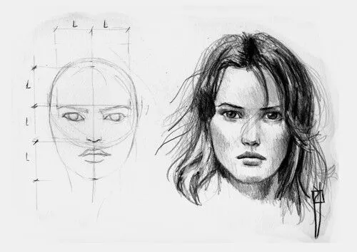 procesos de dibujo: female face proportions./ proporciones de la ...